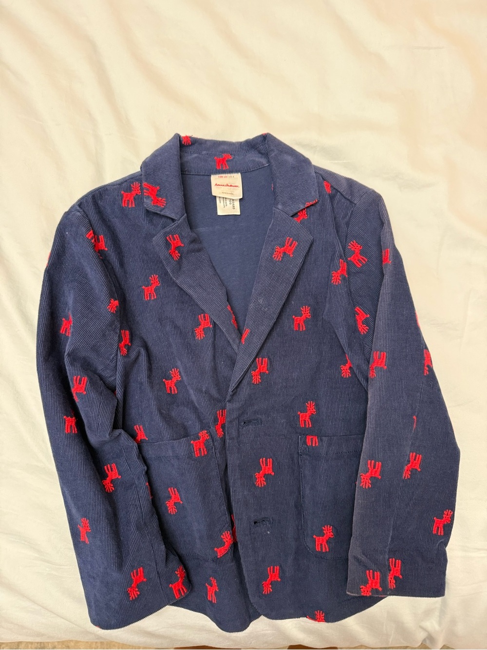 Boy’s Navy Blazer with Red Embroidered Motif